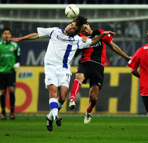 新的发展灵 新的发展灵